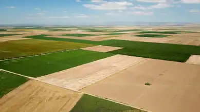 2B Arazileri Tapu Süreci Başlıyor!