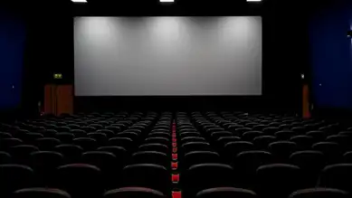 Sinema ve Tiyatroda Seyirci Rekoru!