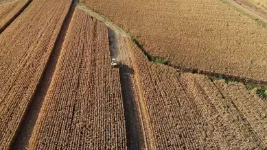 Tarım ve Hayvancılığa 3 Yıllık Yatırım Planı