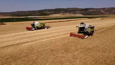 TMO'dan Yemlik Arpa ve Yulaf Satışı: Üreticilere Destek