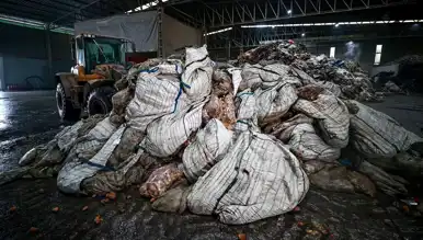 Türkiye'de Patateste Bakteri Alarmı: 2500 Ton İmha Edilecek