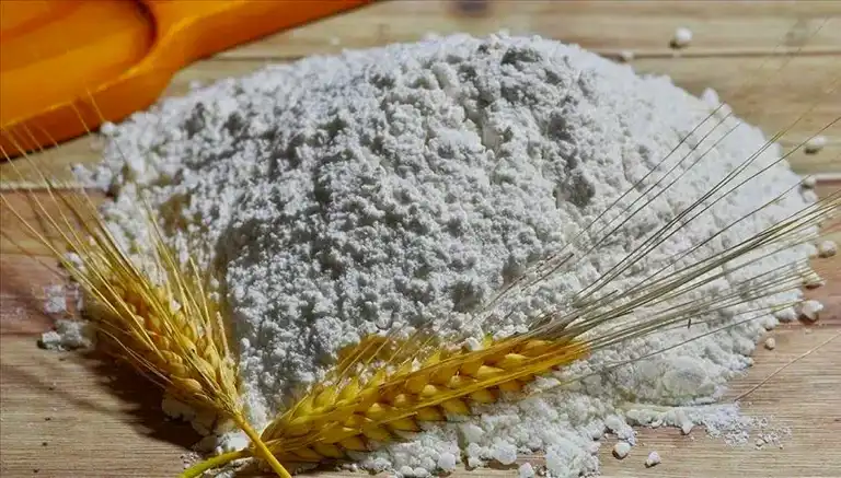 17 Un Fabrikasına Fahiş Fiyat Soruşturması