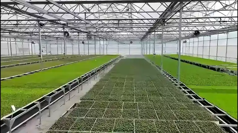 Bafra ve Çaycuma'da Sera OTB'leri Üretime Geçti