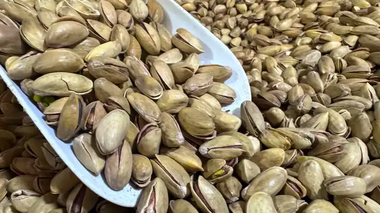 Fıstık Sektöründe Kapsamlı Denetim