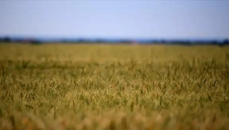 Tarım Girdi Maliyetleri Tehlikeli Seviyeye Ulaştı